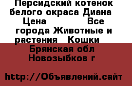 Персидский котенок белого окраса Диана › Цена ­ 40 000 - Все города Животные и растения » Кошки   . Брянская обл.,Новозыбков г.